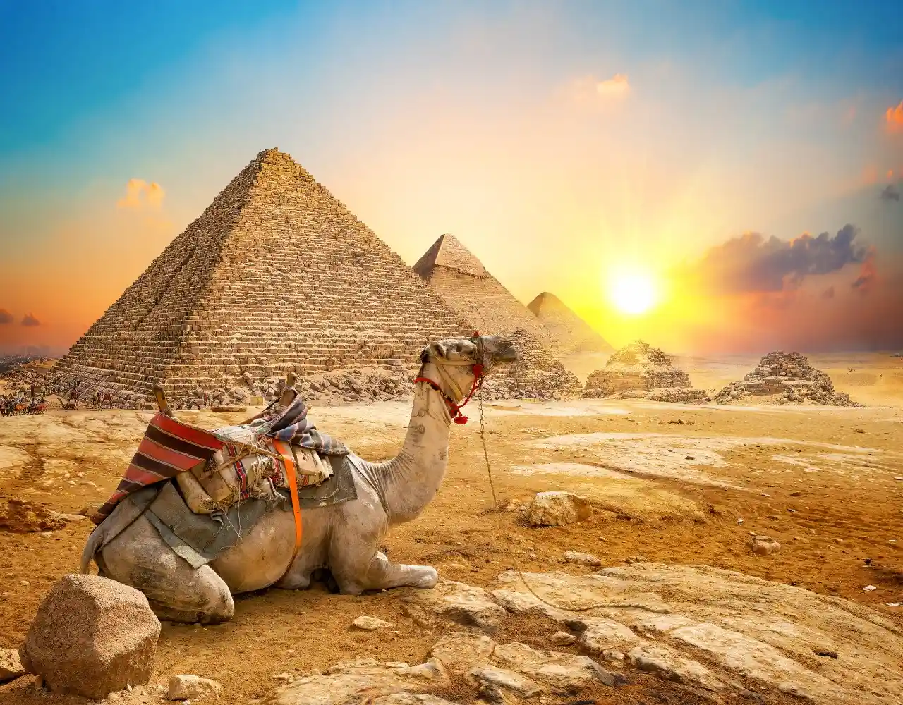 Cheapest Cairo Day Trips | Book Cairo Day Tours & Activities at Best Price