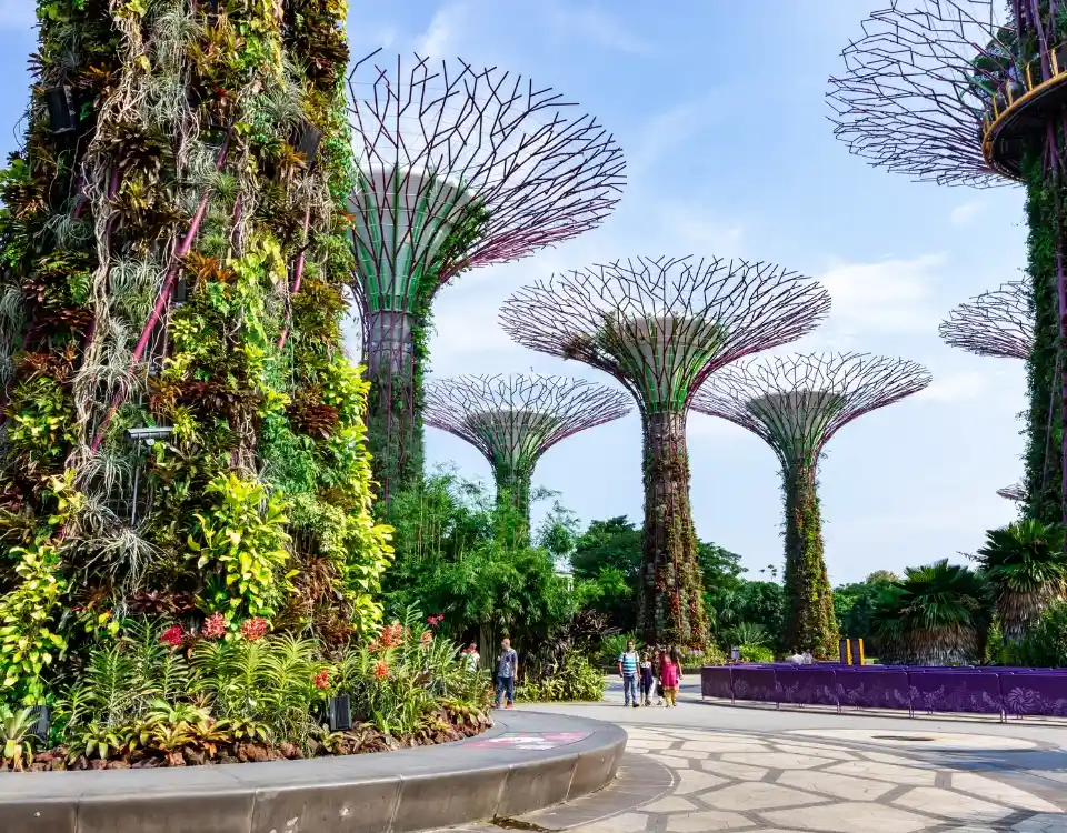 Book 04 nights and 05 days Singapore honeymoon package with cruise